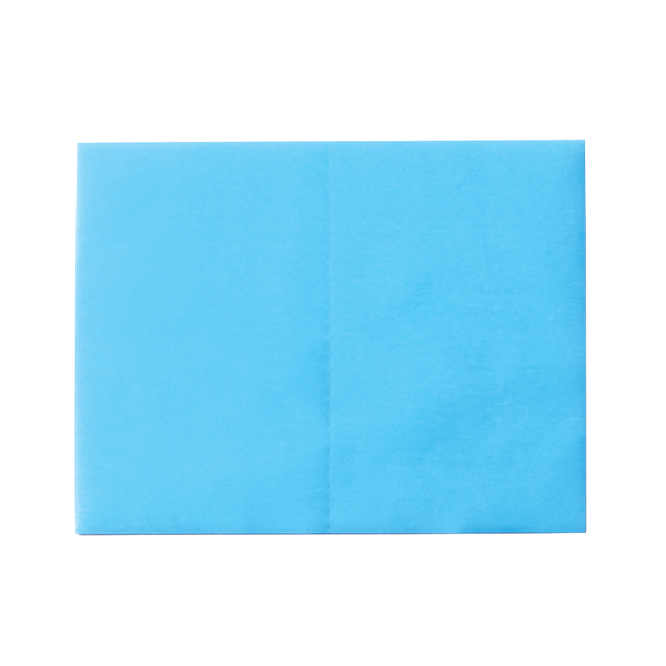 Sunmight Flexible Film blue sheet
